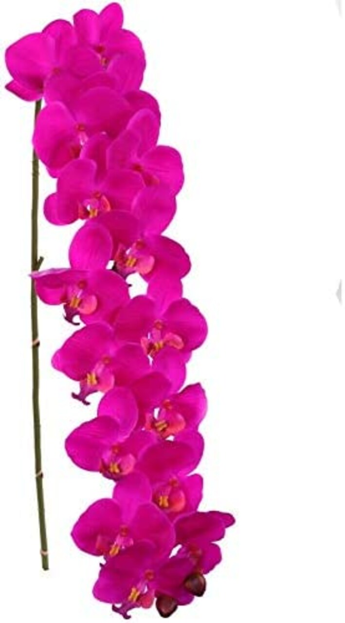 49" Phalaenopsis Orchid - Set of 12, 16 Realistic Silk Blooms, Lifelike Fuchsia Flowers, Perfect for Events, Home & Décor - Ideal for All Seasons, Floral Home by Artificial Flowers
